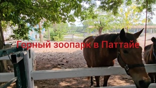 Паттайя, экскурсии, МЕГА-СЕЗОН 24-25ГГ