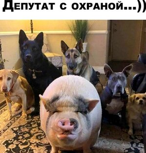 Кулинарные рецепты.