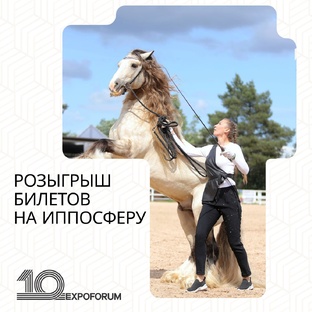 Розыгрыш билетов ИППОСФЕРА!