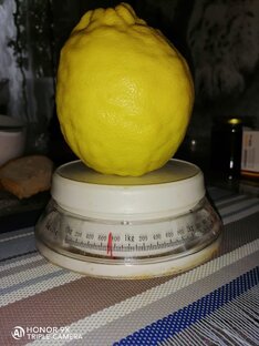 Цитаты о еде и здоровье
