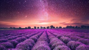 11/11: ДВА ГОДА ПОХУДЕНИЯ. ИТОГИ.