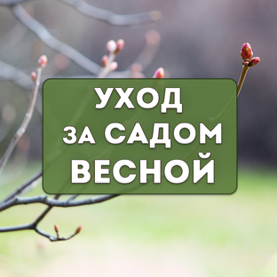 Уход за садом весной