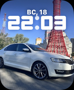 Подборка по Skoda Rapid