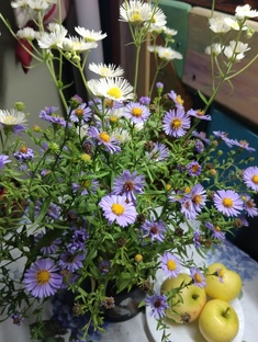 Животные, природа, ландшафт