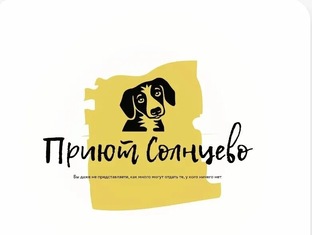 Собаки из приюта Солнцево 🦮
