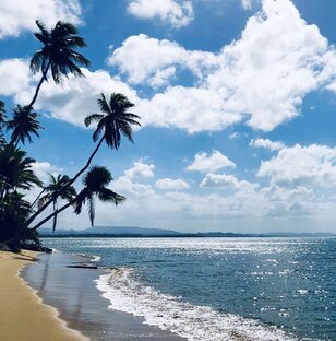 🌊 Звуки Моря