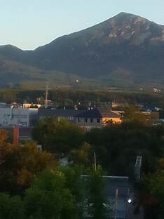 Отставки. Посадки