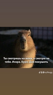 Блинб вот бы деняг
