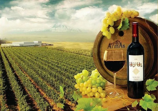 Виноградник Армас в Армении