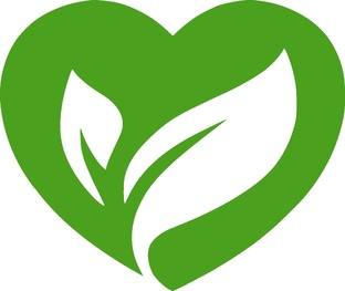 Полезные рекомендации