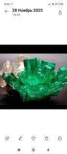 Выставки года