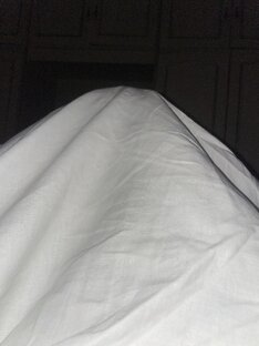 Жуткие истории 