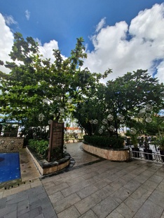 Балконный огород