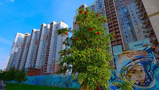Автопутешествие в Сочи