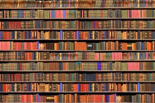 Размышления у книжной полки.