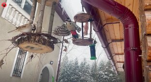 Chill: маркетологи отдыхают