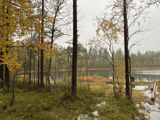 Практика на рыбалке без лишних слов