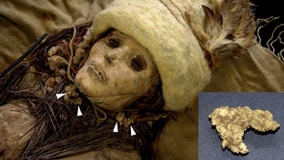 История