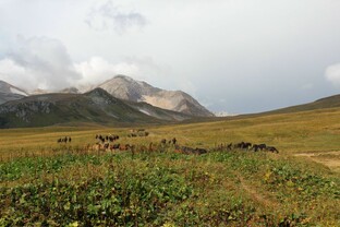 Путешествия по России 