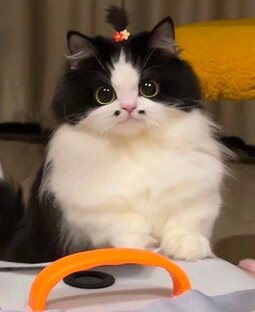 Низкокачественный геймдев