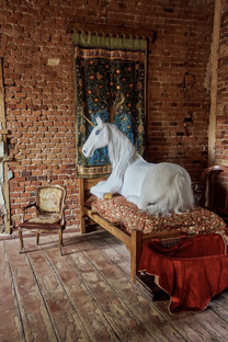 Необычные свадьбы в Калининграде 