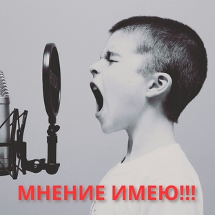МНЕНИЕ ИМЕЮ