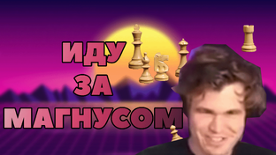Шахматы