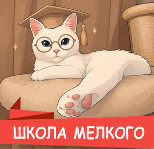Рубрика «Школа Мелкого»