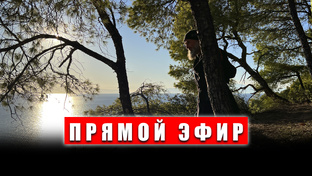 Прямые эфиры 2024