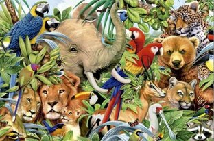 Удивительный мир животных 