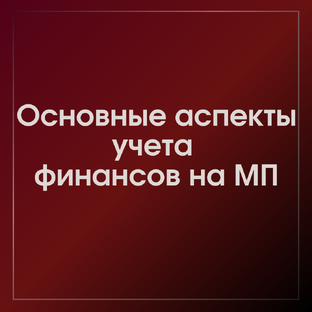 Основные аспекты фин.учета МП