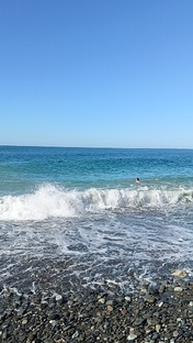 Море, Сочи, отдых