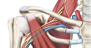 Йогатерапия