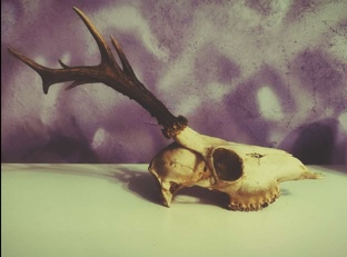 Рождение, через смерть