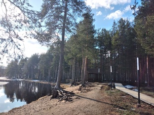 Ступеньки к новому счастью