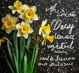 Отзывы обо всем