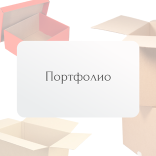 Портфолио