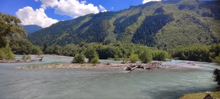 Наши путешествия с собаками. 