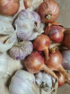 Лучок,  чесночок и морковочка