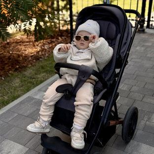 Домомучитель