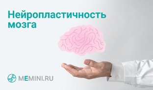 Профилактика деменции