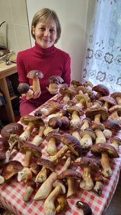 Грибные дела😀