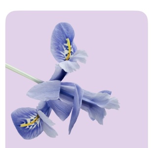 Психологическая подготовка к родам