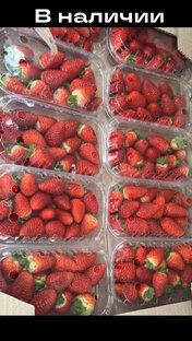 Свежие видео Альбион