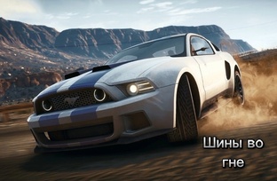 Шины во гне 
