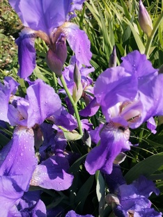 Фильмы и сериалы 