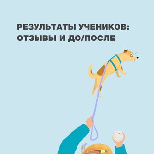 Результаты наших учеников