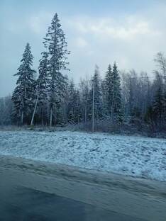 Архив.Дача 2021г.