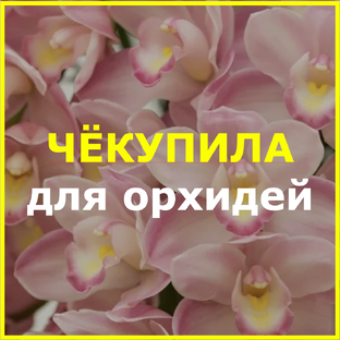 Снабжение и обеспечение домашних орхидей. Товары для орхидей