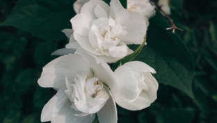 Ощущения. Смотреть, слушать .